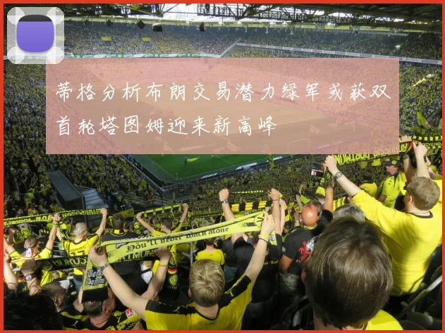 蒂格分析布朗交易潜力绿军或获双首轮塔图姆迎来新高峰